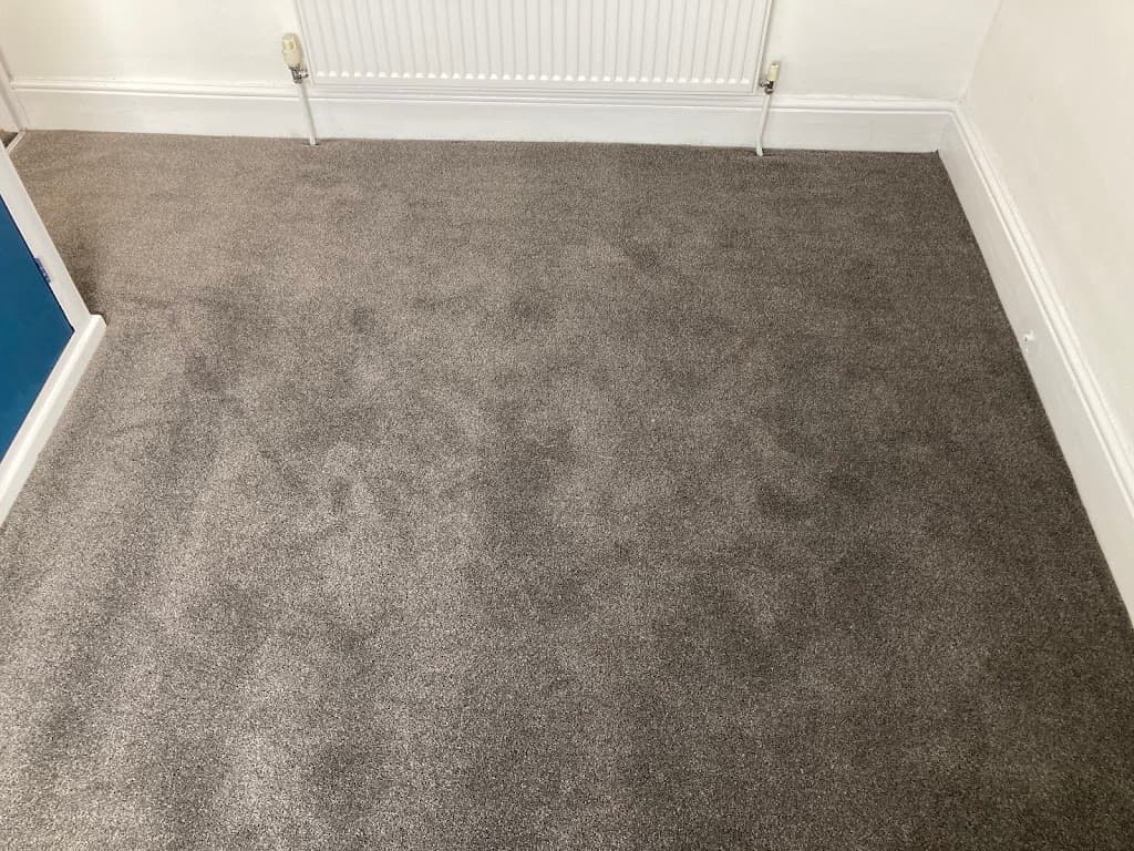 Alpha Carpet Services