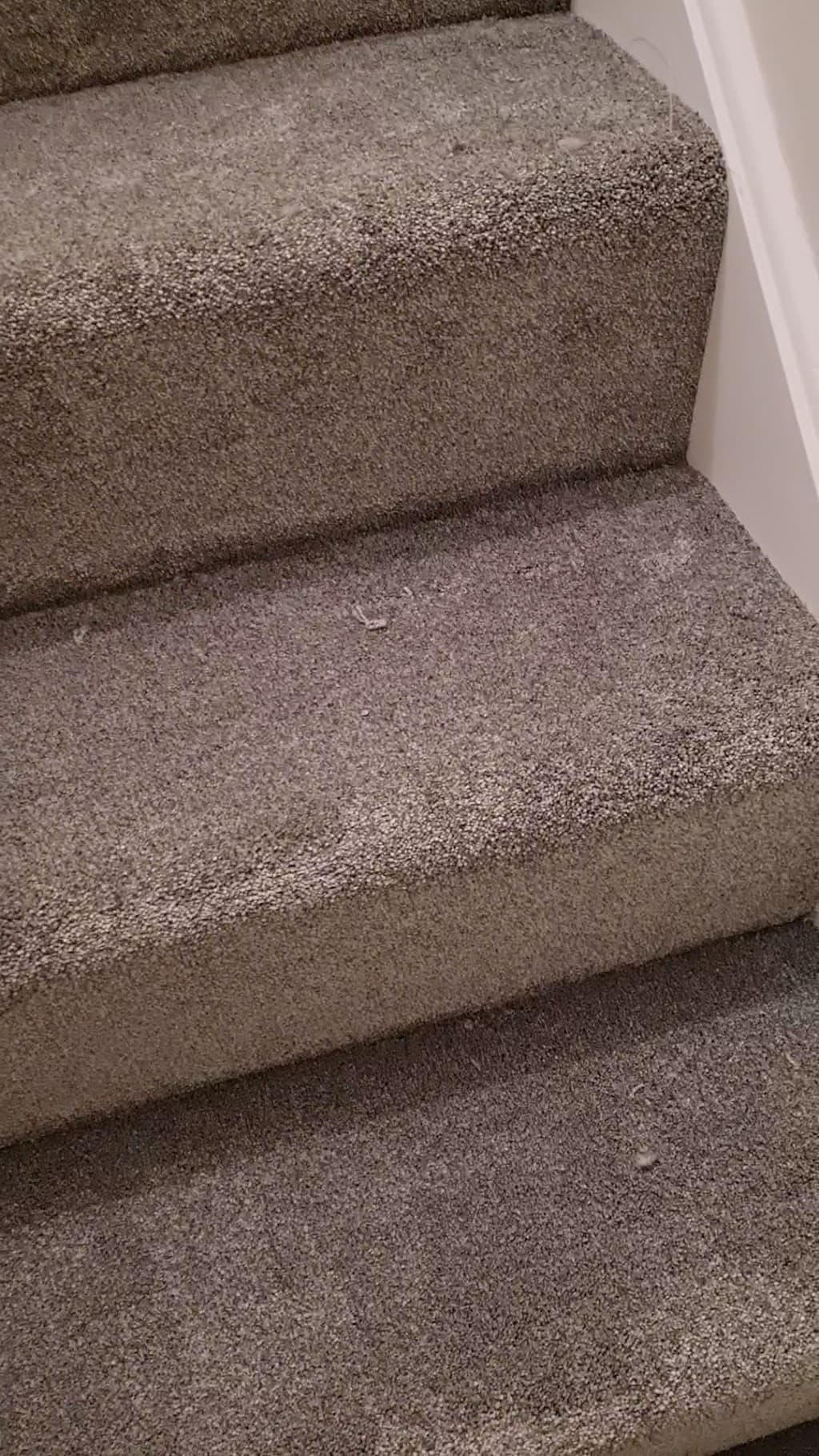 Carpetright
