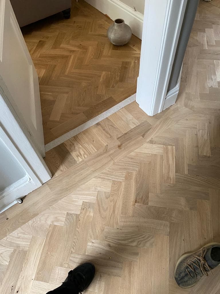 Floors 4 Sanding
