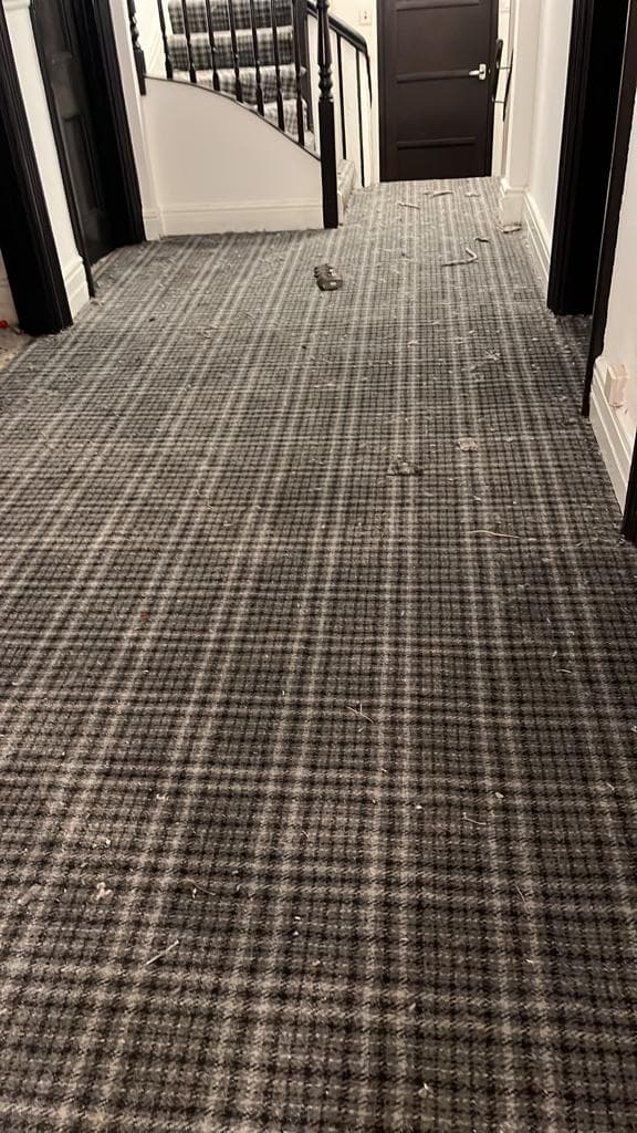 Carpet for All | We Supply & Fit Flooring