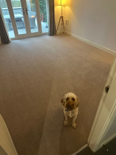 Knight Carpet & Flooring Ltd — Customer photo