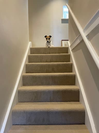 Knight Carpet & Flooring Ltd — Customer photo