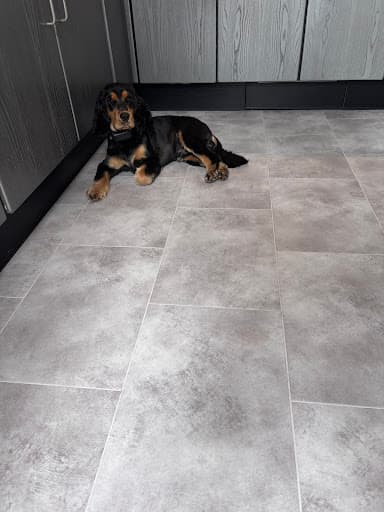 TJ Flooring — Customer photo