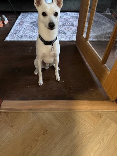 Kings Hill Carpentry & Flooring — Customer photo