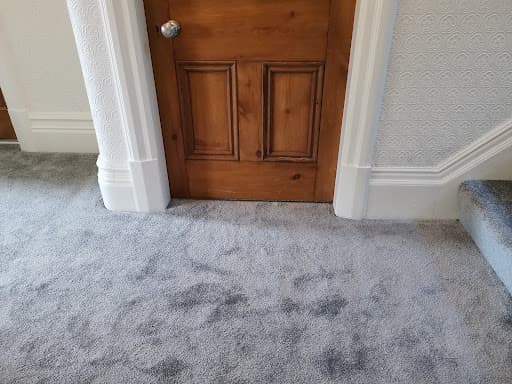 Carpet Co Ltd — Customer photo