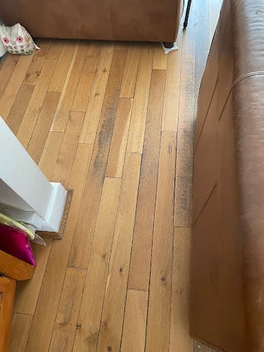 Elite Floor Maintenance Ltd — Customer photo