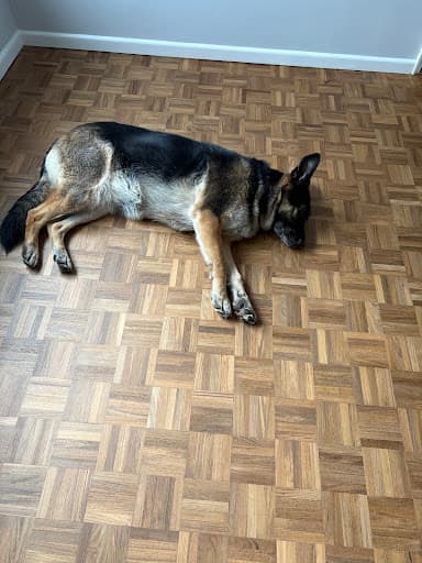 Timbers Flooring — Customer photo