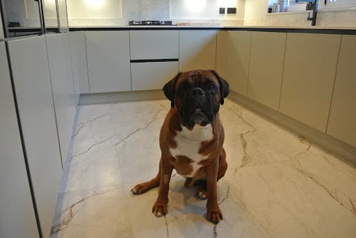 AJ Bespoke Interiors Ltd — Customer photo