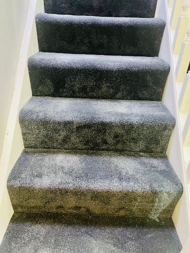 Amir Carpets & Furniture — Customer photo