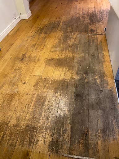 Elite Floor Maintenance Ltd — Customer photo