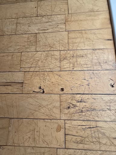 Tile & Wood Master Belfast — Customer photo