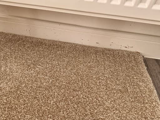 Frank's The Flooring Store — Customer photo