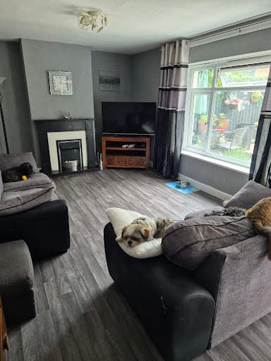 Carpet Mill — Customer photo