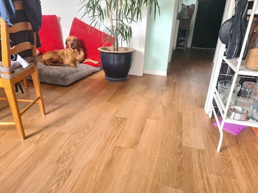 LVT FLOORING BRISTOL LTD — Customer photo