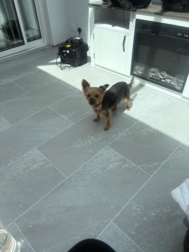 Tpsflooring — Customer photo