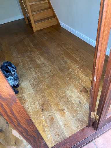 TMC Specialist Cleaning Ltd — Customer photo