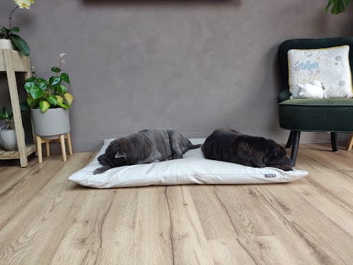 Wilsons Carpets, Handsworth, Sheffield — Customer photo