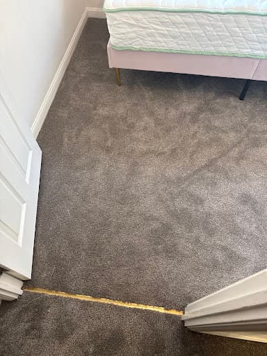 Elliot Carpet — Customer photo
