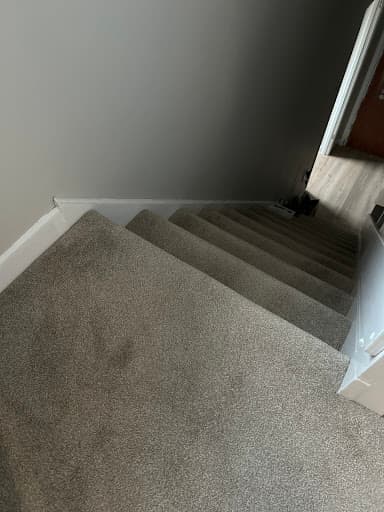Rainbow Carpets — Customer photo