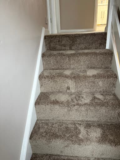 World of Carpets Online Ltd — Customer photo