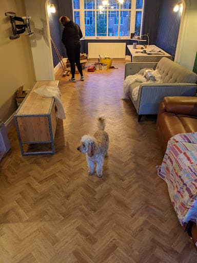 The Local Carpet Man — Customer photo