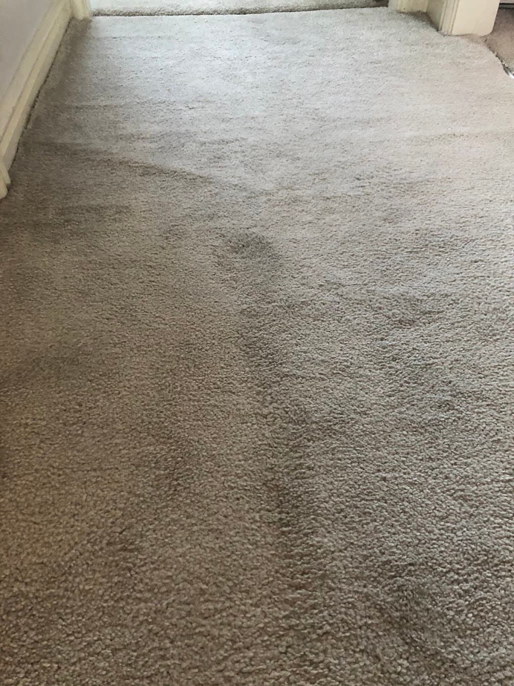 Pallion Carpets