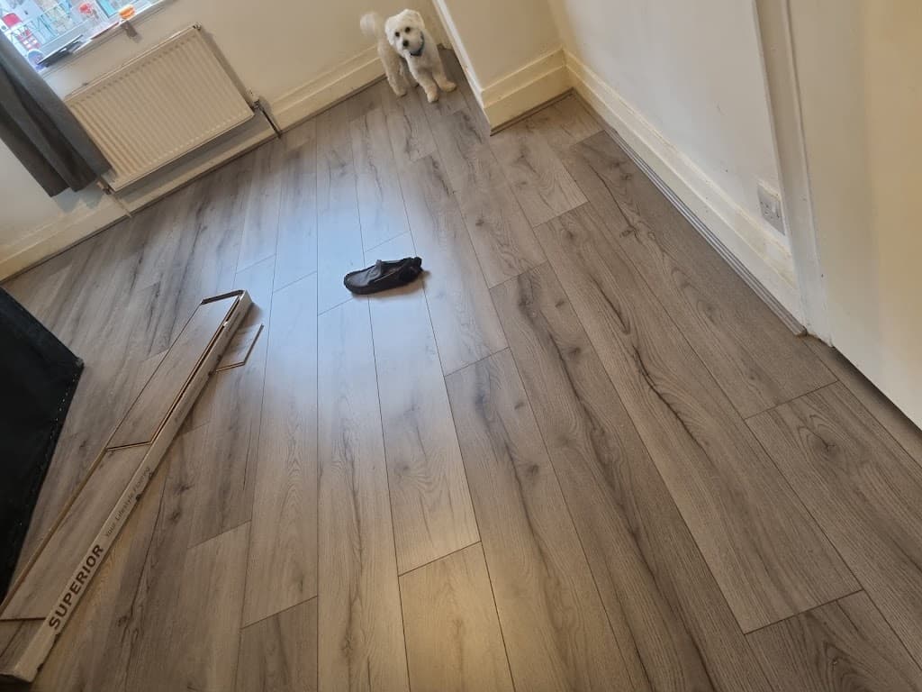 Floor Giants Hull