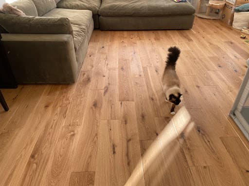 FLOOR FITTERS GLASGOW — Customer photo