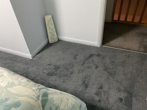1to1 Flooring by KD Hawes — Customer photo