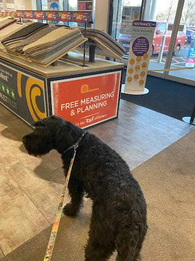 Tapi Carpets & Floors — Customer photo