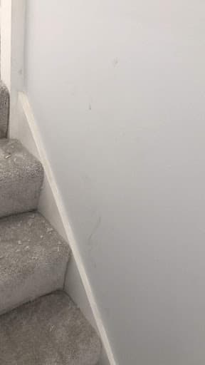 Pallion Carpets — Customer photo