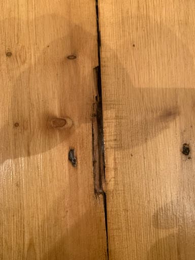 North East Floor Sanders — Customer photo