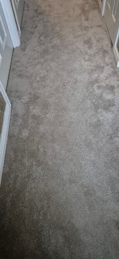 Tapi Carpets & Floors — Customer photo