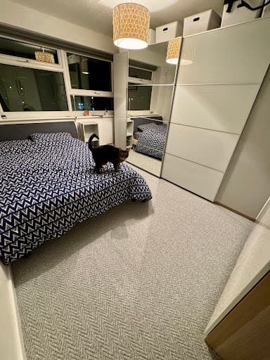 AMC carpets — Customer photo