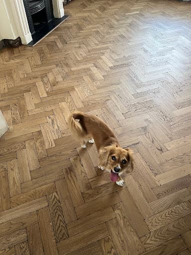Hardwood Flooring Specialists Bristol LTD. — Customer photo