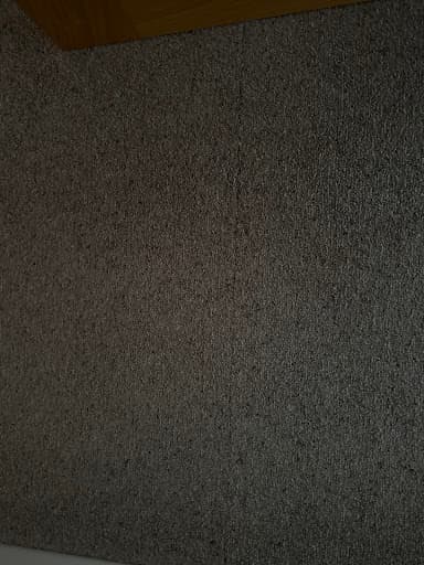 Tapi Carpets & Floors — Customer photo