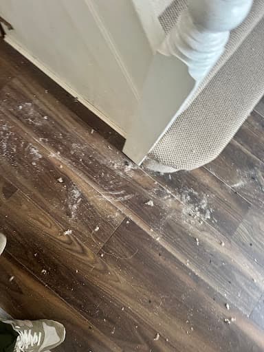 Woolton Carpet Centre — Customer photo