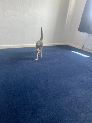 C W Jones Carpet & Flooring Limited — Customer photo