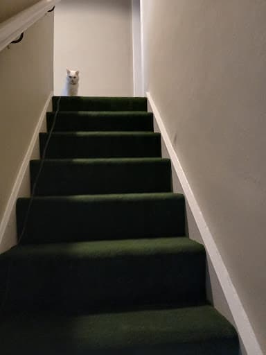Mega Carpets Ltd — Customer photo