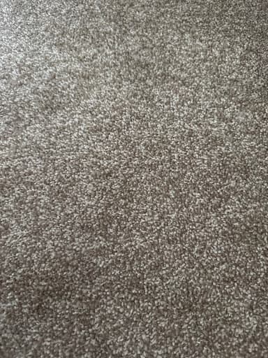 Pallion Carpets — Customer photo