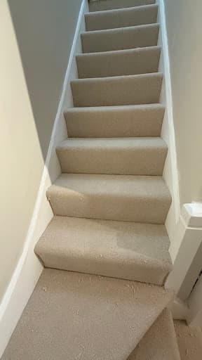 AMC carpets — Customer photo
