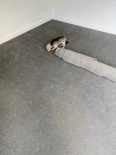 Tapi Carpets & Floors — Customer photo