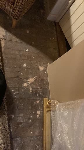 Ideal Floor Care — Customer photo
