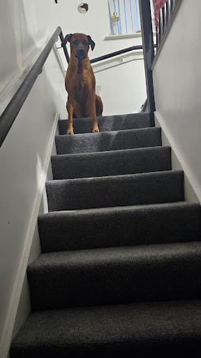 TDS Floors — Customer photo