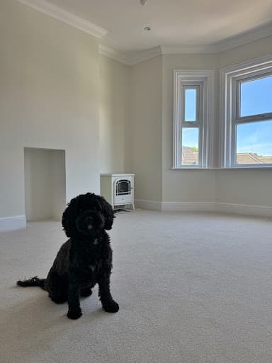 Quality Carpets and Flooring Bournemouth — Customer photo