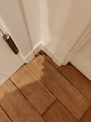 North East Floor Sanders — Customer photo