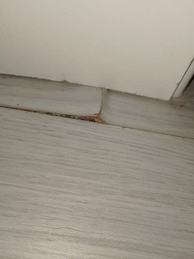 Budget Carpet & Flooring Centres ltd — Customer photo