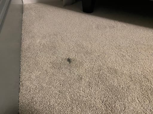 HH Floor Care — Customer photo