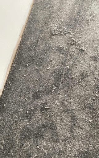 Wilsons Carpets, Anlaby Road, Hull — Customer photo