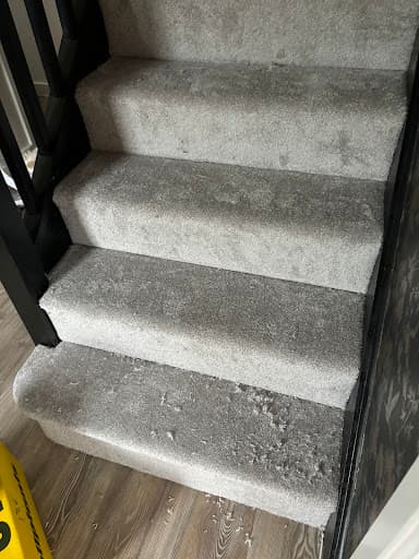 Carpets 4 Less — Customer photo